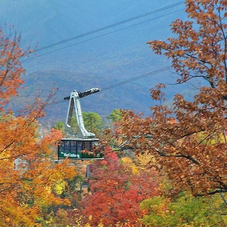 Cajun Hideaway Holiday Home Gatlinburg Buitenkant foto